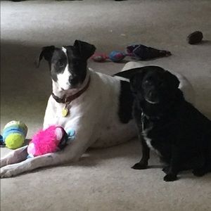 Meet your Posher, Christine